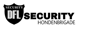 logo DFL Security